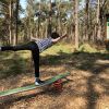 Therapie im Heilwald Quetziner Tannen