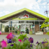 Regionale Pflanzen- und Blumen