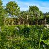 Wangeliner Garten - Einblicke