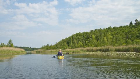 Seerosenparadies auf der Kanu-Tages-Tour - Alte Fahrt ins Seerosenparadies