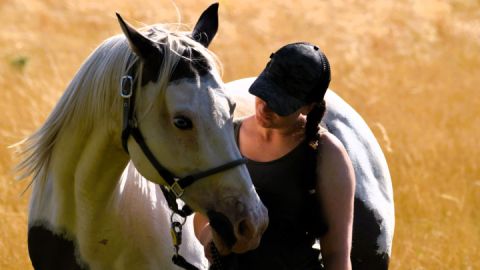 Reiten in der Mecklenburgischen Seenplatte