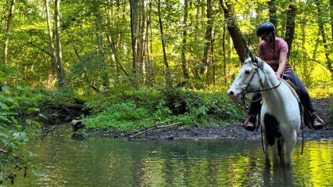 Reiten in der Mecklenburgischen Seenplatte