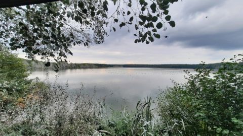 Aussichtspunkt