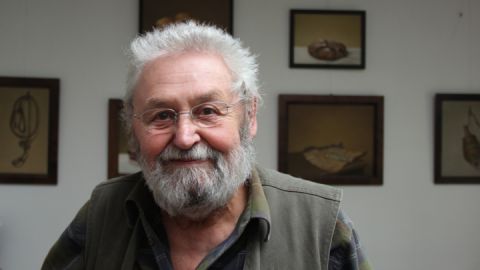 Günter Horn