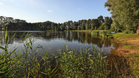 Gutspark Dalwitz- Walkendorf_3