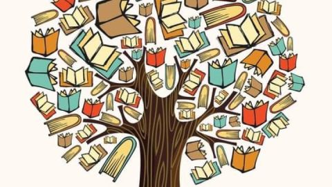 Bibliothek Plau am See Buchbaum