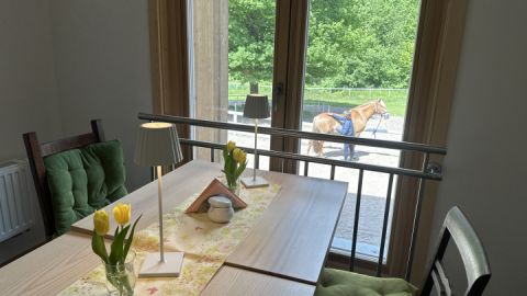 Café Hufschlag Blick aus dem Fenster
