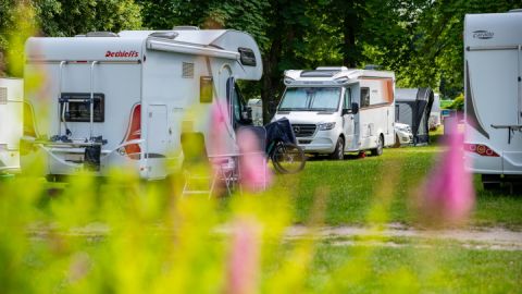 Campingplatz Pappelbucht