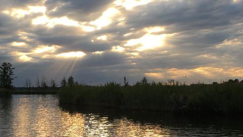 Abendstimmung auf der Peene