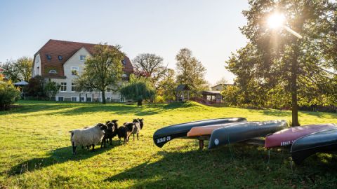 Gutshaus Barkow - Schafweide und Bootsliegeplatz