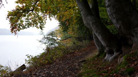 Rundweg Schmaler Luzin, Mecklenburgische Seenplatte