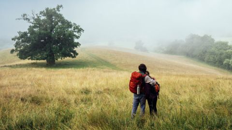 Wandern in der Nähe vom Rötelberg